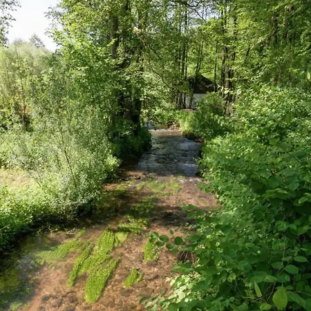 A Wooden Located In A Quiet And *